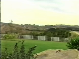 back to nature.mp4