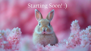 bunnydollstella_2026-06-08.mp4