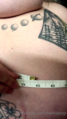 105544548_stuffed-belly-measurements-weigh-in-and-measurements-vide_8.m4v