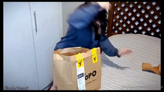 647414744_for-the-belly-stuffing-lovers_0.mp4
