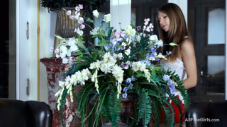 wowgirls.12.04.23.anjelica.spring.flower.1080p.mp4