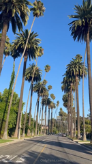 728279170_la-life_0.m4v