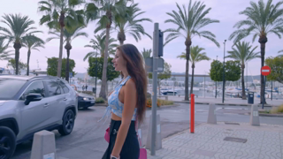 Risky Nude Walk [6ada3ab4].mp4