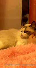 0h228v84glblvoyzmhq1q_source.mp4