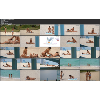 POV Cam On The Beach [26bde2f3].mp4.jpg