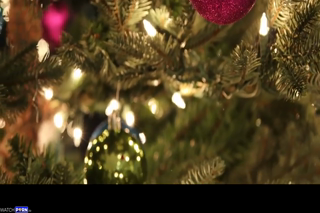 WCA Productions - Coco Vandi - Mom And Son's Magical Christmas.mp4