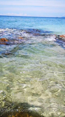 48634783_lovely-beach-from-island_3.m4v