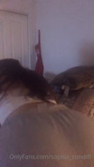 5f197884bff893fbba720_source.mp4