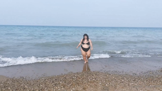 206454892_bbw-pig-snacks-and-jogs-at-the-beach-it-s-been-so-incredibly_0.mp4