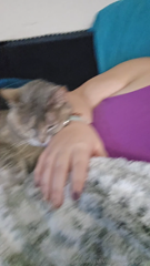 1411969248_a-typical-lazy-sunday-for-me-wanna-join-me_0.mp4