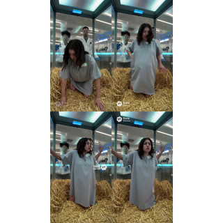 lilsisilliana--60761148_s_69b93f8707308191b29f2b298cb9a8cc.jpg
