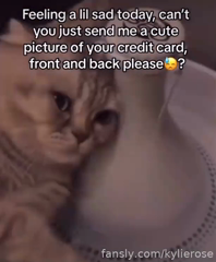 682666059500630016__8.mp4