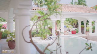 Front_yard_tease_4K.mp4