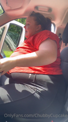 28333810_when-i-struggle-to-even-fit-in-a-van_0.m4v