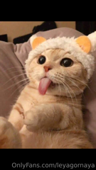 693560645_hot-tik-toks-in-a-mitsuri-cosplay-tip-15-under-thi_3.m4v