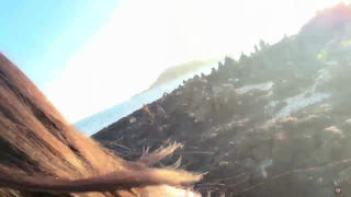 [Pools, Hot Tubs, and Beaches] hl6260 - 2025-07-20 04h09m50s.mp4