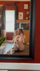 StunningTenderAuk.mp4