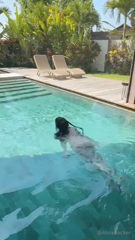 0hvnywp55o9ow8lya9jt0_source.mp4