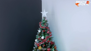 157 Sex with Cute Elf on Christmas Night_4k.mp4 ~ Missing Files ~ pixeldrain.mp4