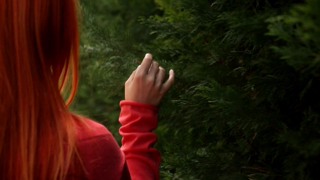 wowgirls.13.05.21.ariel.with.ariel.in.wonderland.1080p.mp4