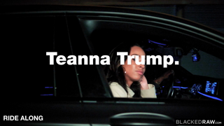 VMG.Compilations.2024.04.14.Iconic.Teanna.2160p.mp4