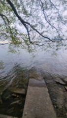qblt07u6RiAVAAyI.mp4