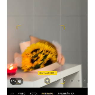 2768022290787337611--dianaelizon_CZp_Zy0vfhA.jpg