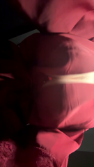 2025-11-19_classicalc - darkorchidclassicnightjar.mp4