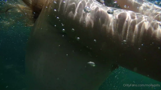 2020-11-10_5fa95e7ac0ac978e63611_source.mp4