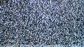 Meguwu_2026-06-19.mp4