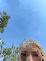 Terribletabby_2026-04-07_16-43-33_481.mp4