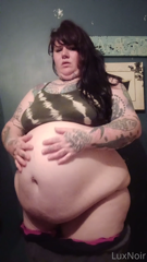 237439685_stuffed-fat-pig_0.m4v