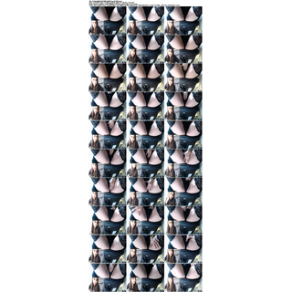 V33OniQbM6VOWMVIsKlXDUSqrsR3ZZXJ.jpg