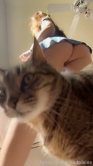 634474654920089600__16.mp4