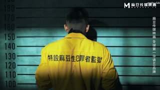 MDSJ0003.mp4