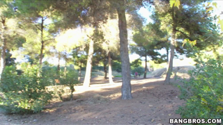btra12674_3000.mp4