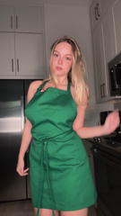 redgifs_evenslipperyanhinga.mp4