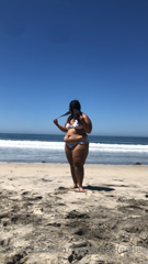 143635303_bay-watch-or-whale-watch_0.m4v