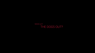 wowgirls.13.09.09.aimee.ryan.anjelica.and.nancey.who.let.the.dogs.out.2160p.mp4