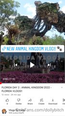 329415585_new-disney-florida-animal-kingdom-vlog-press-link-https_0.m4v