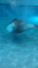 16028392_come-swim-with-me_0.mp4