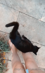 188015625_i-found-another-cute-pussy-i-think-we-are-friends-now_1.m4v