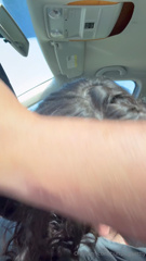 buttplugbettty_Raise_your_hand_if_you_like_road_head__4076428323.mp4
