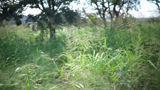 MIFD-095.mp4