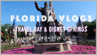 324683387_first-florida-disney-vlog-up-now-on-my-youtube-channel-p_0.m4v