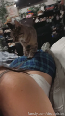 538600763723620352__9.mp4