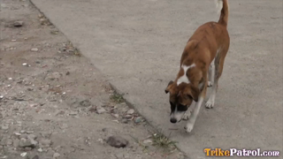 aiza_1080p.mp4