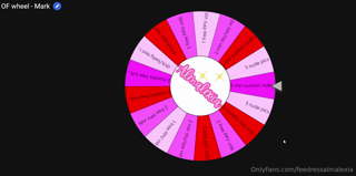 1385916344_festive-wheel-spin-time-yes-it-s-that-time-of-year-where-i_0.mp4