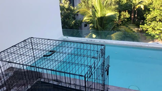 2020-12-14 - Slavecation Day 2 Slave's First Pool Day.mp4