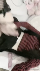 402519_1080p.mp4